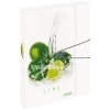 document-box-bia-hop-fruit-lime - ảnh nhỏ  1